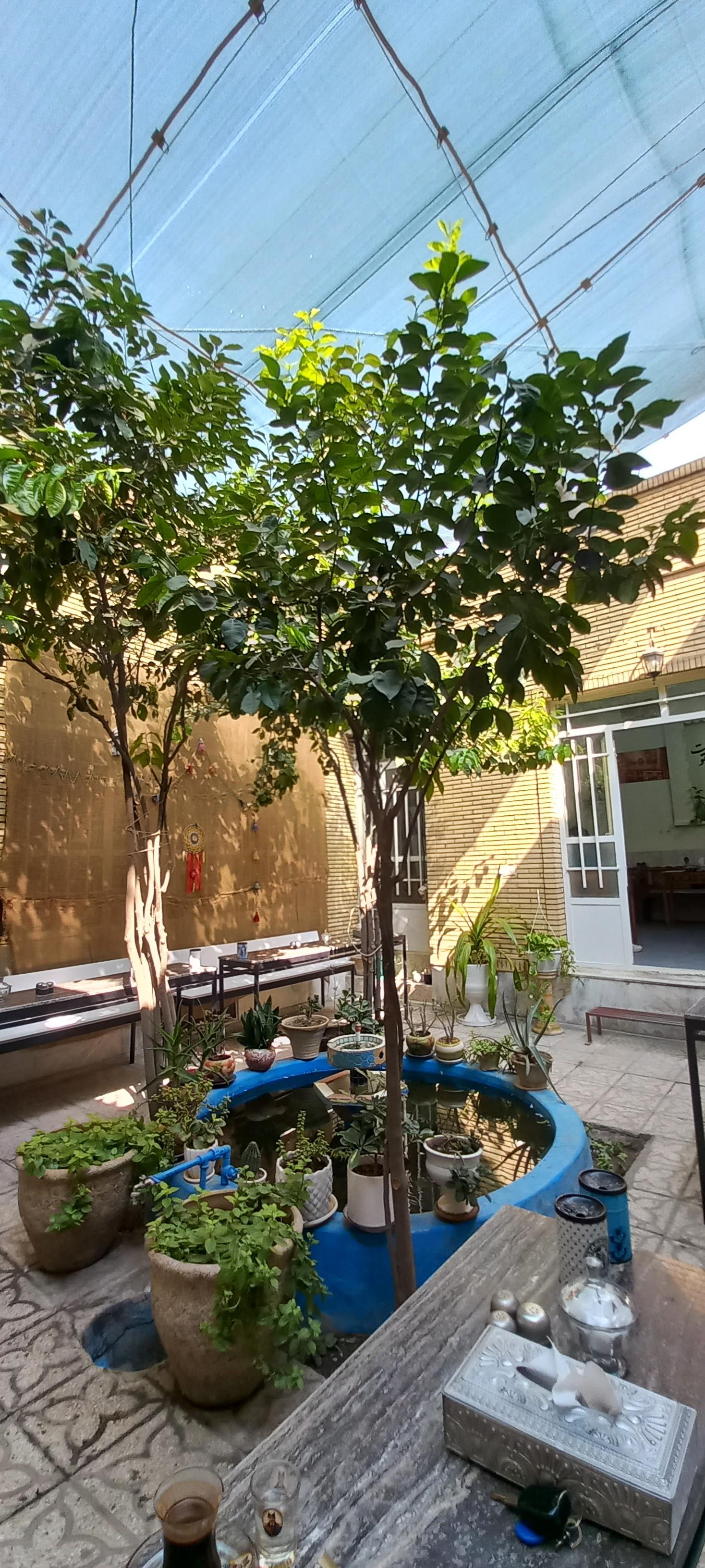 عکس کافه سهیل