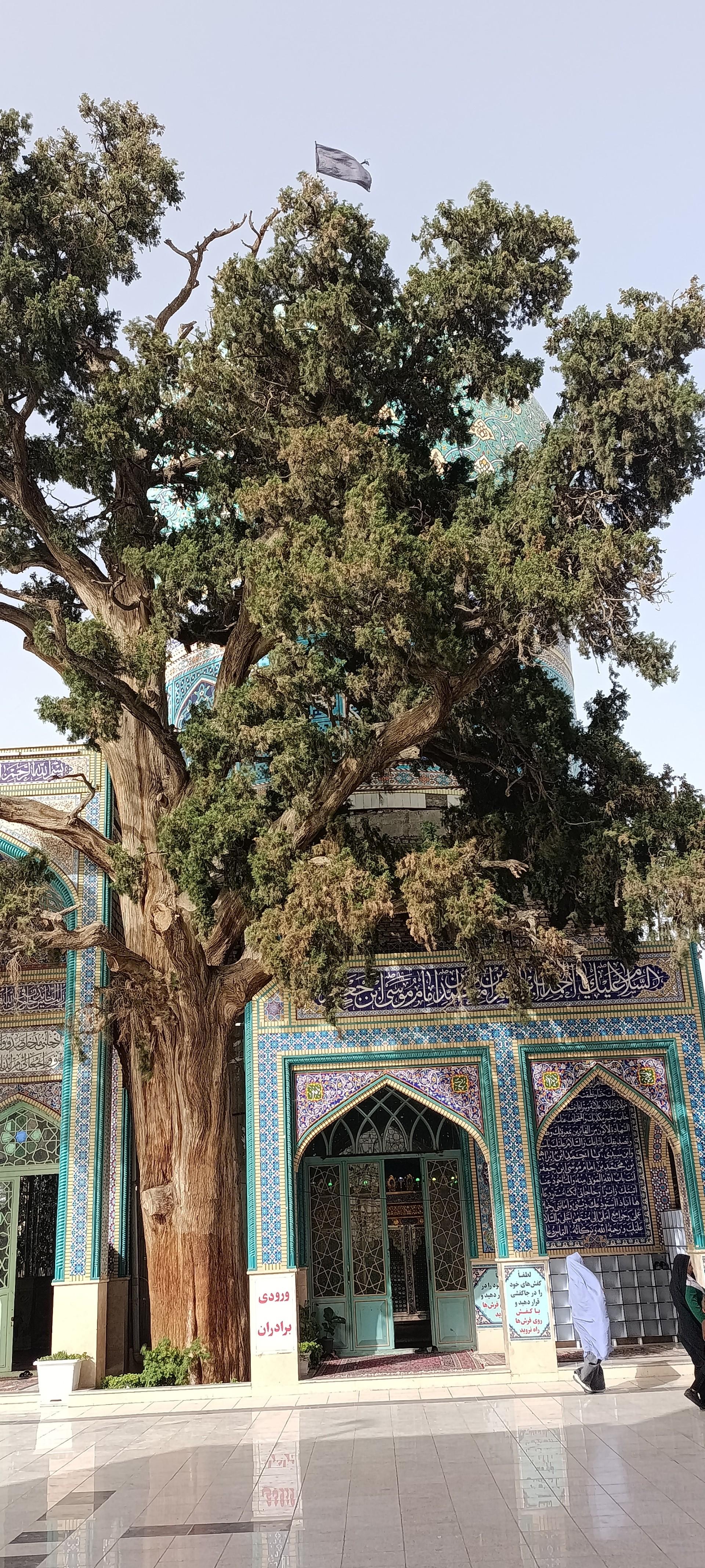 عکس امامزاده احمد