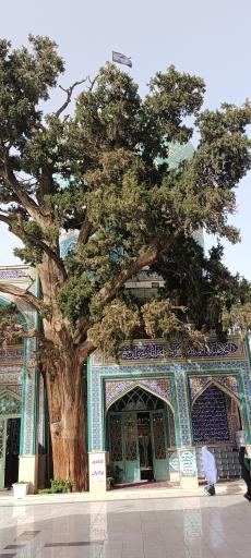 عکس امامزاده احمد
