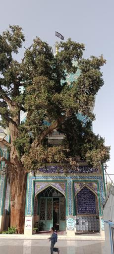 عکس امامزاده احمد