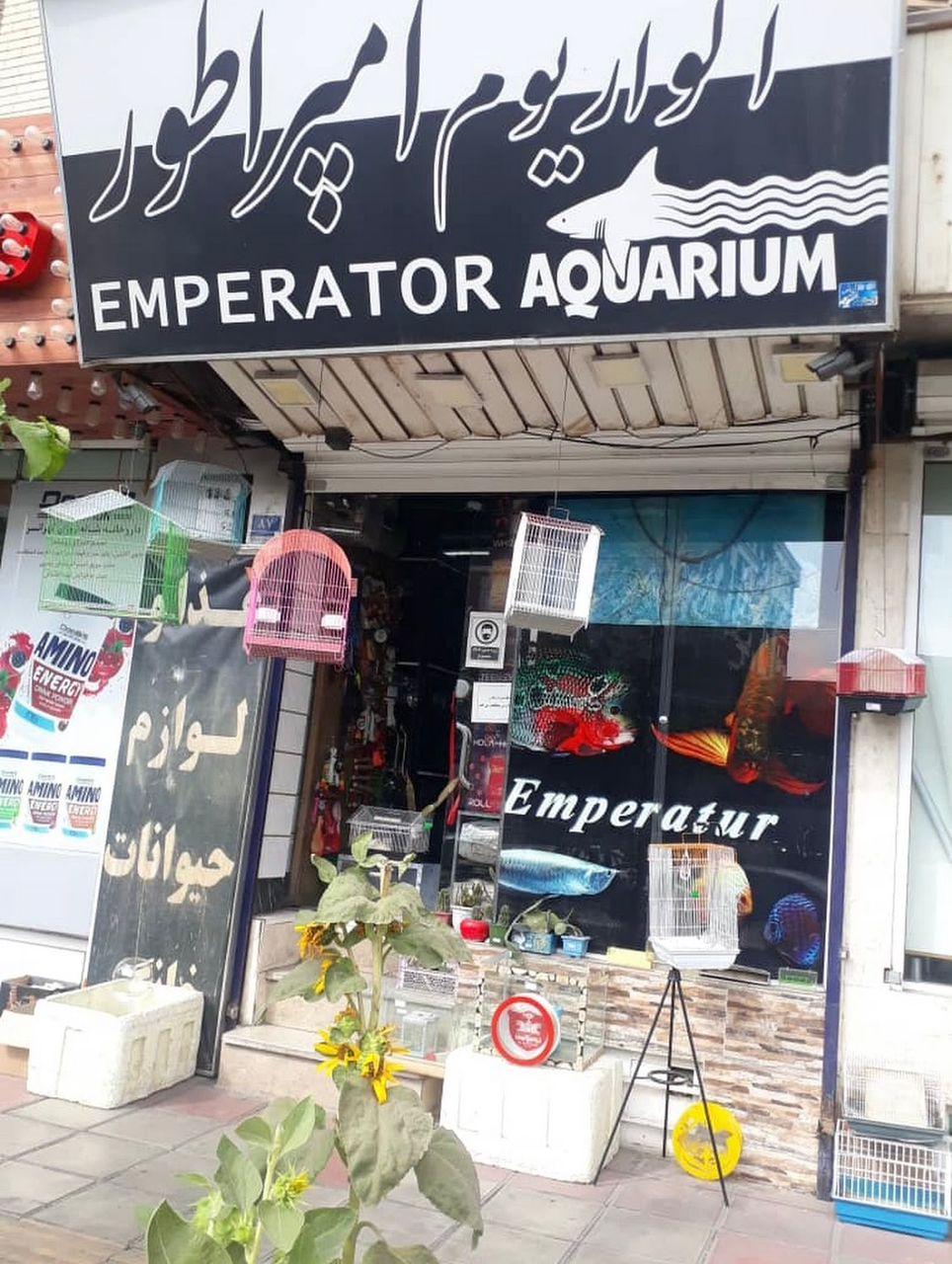 عکس آکواریوم امپراطور تهرانسر