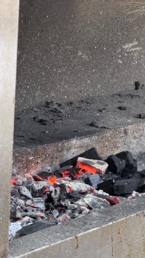 عکس باغ جگرکی آوین