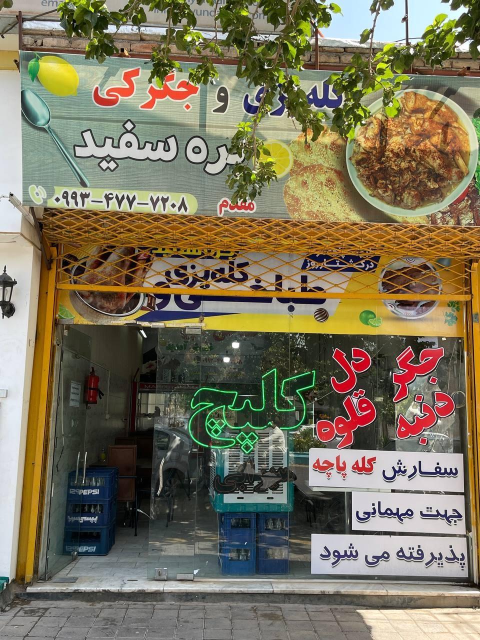 عکس طباخی بره سفید 