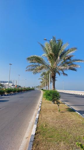 عکس پارک ساحلی هرمز