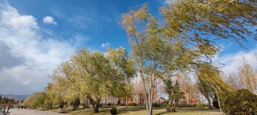 عکس دهکده توریستی و تفریحی سلامت صبا