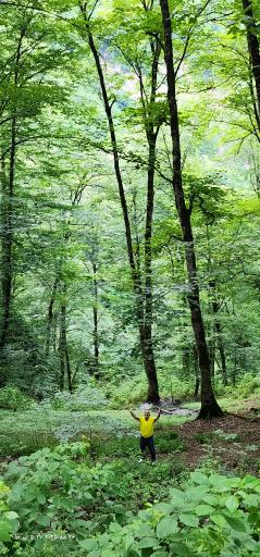 عکس محمودآباد