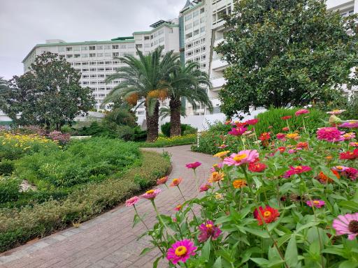 عکس محمودآباد