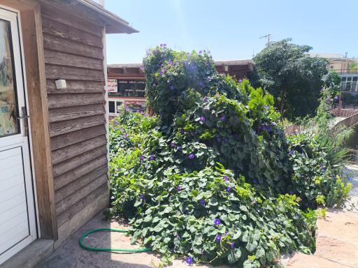 عکس دهکده توریستی و تفریحی سلامت صبا