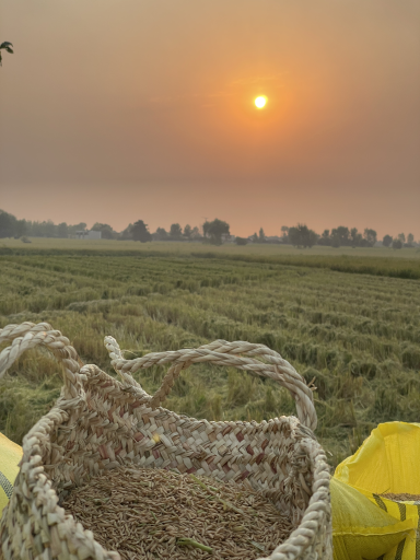 عکس محمودآباد