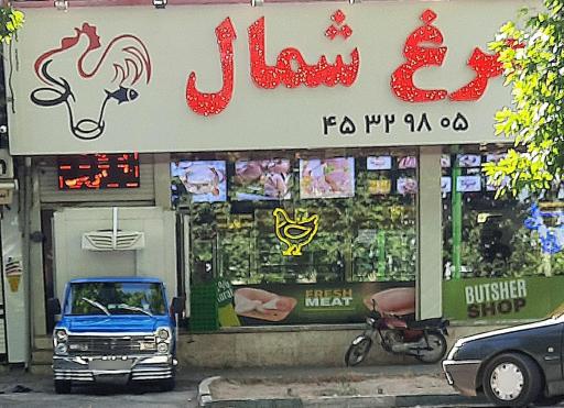 عکس پخش مرغ مهیار عابد