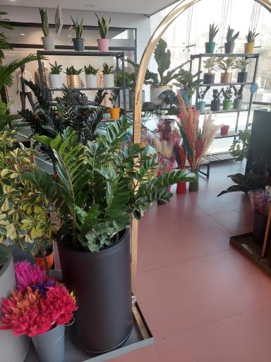 عکس آرمان فلوریست