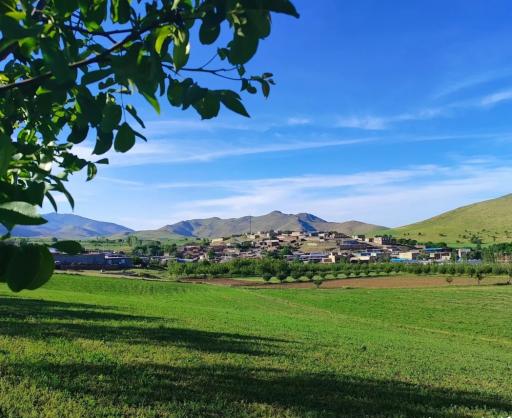 عکس کانی رش