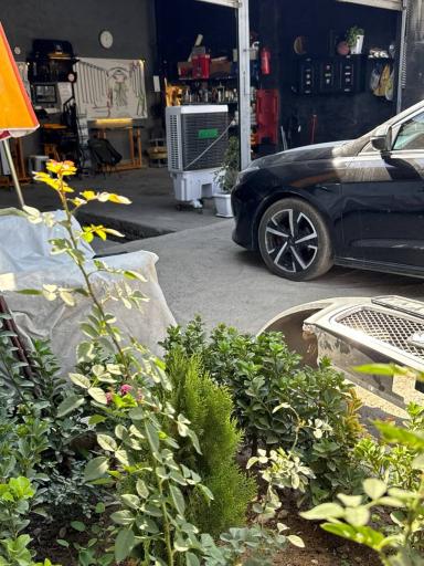 عکس صافکاری نقاشی امیر آپشنال