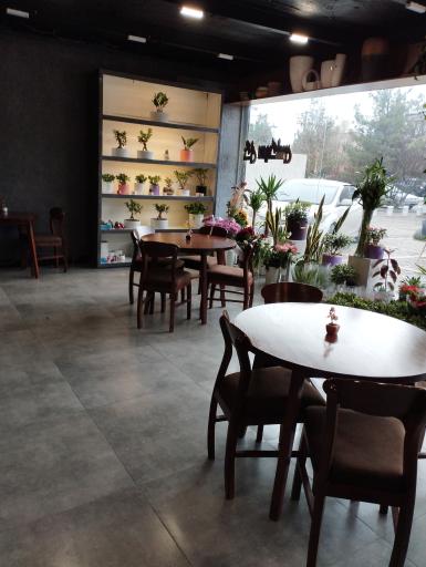 عکس کافه گل سیکاس