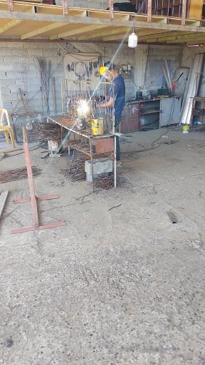 عکس شاخ گوزنی الماس فیروزجایی