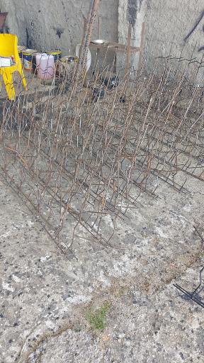 عکس شاخ گوزنی الماس فیروزجایی