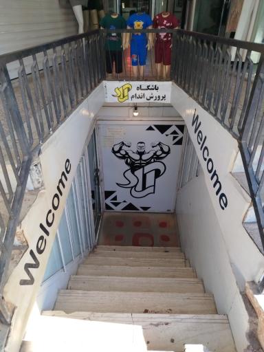 عکس باشگاه بدنسازی آراد