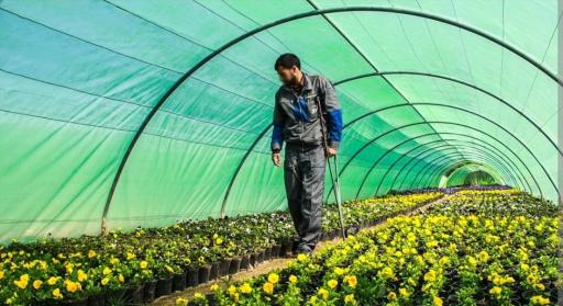 عکس گلخانه کاخ اطلسی