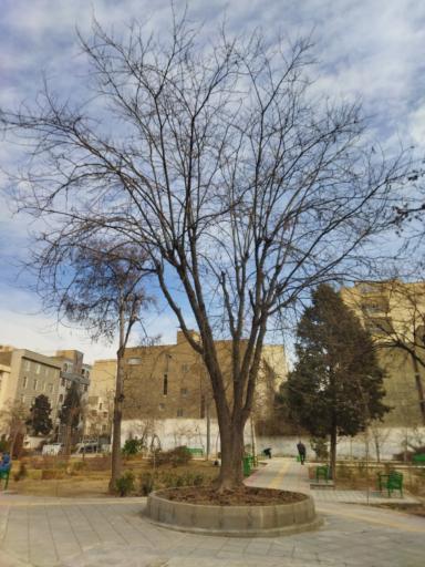 عکس بوستان بهارک