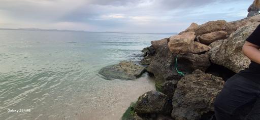 عکس ساحل نقره ای