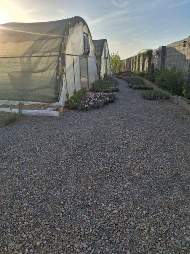 عکس گلخانه المهدی