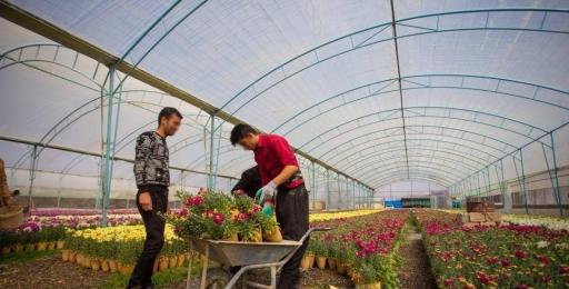 گلخانه کاخ اطلسی