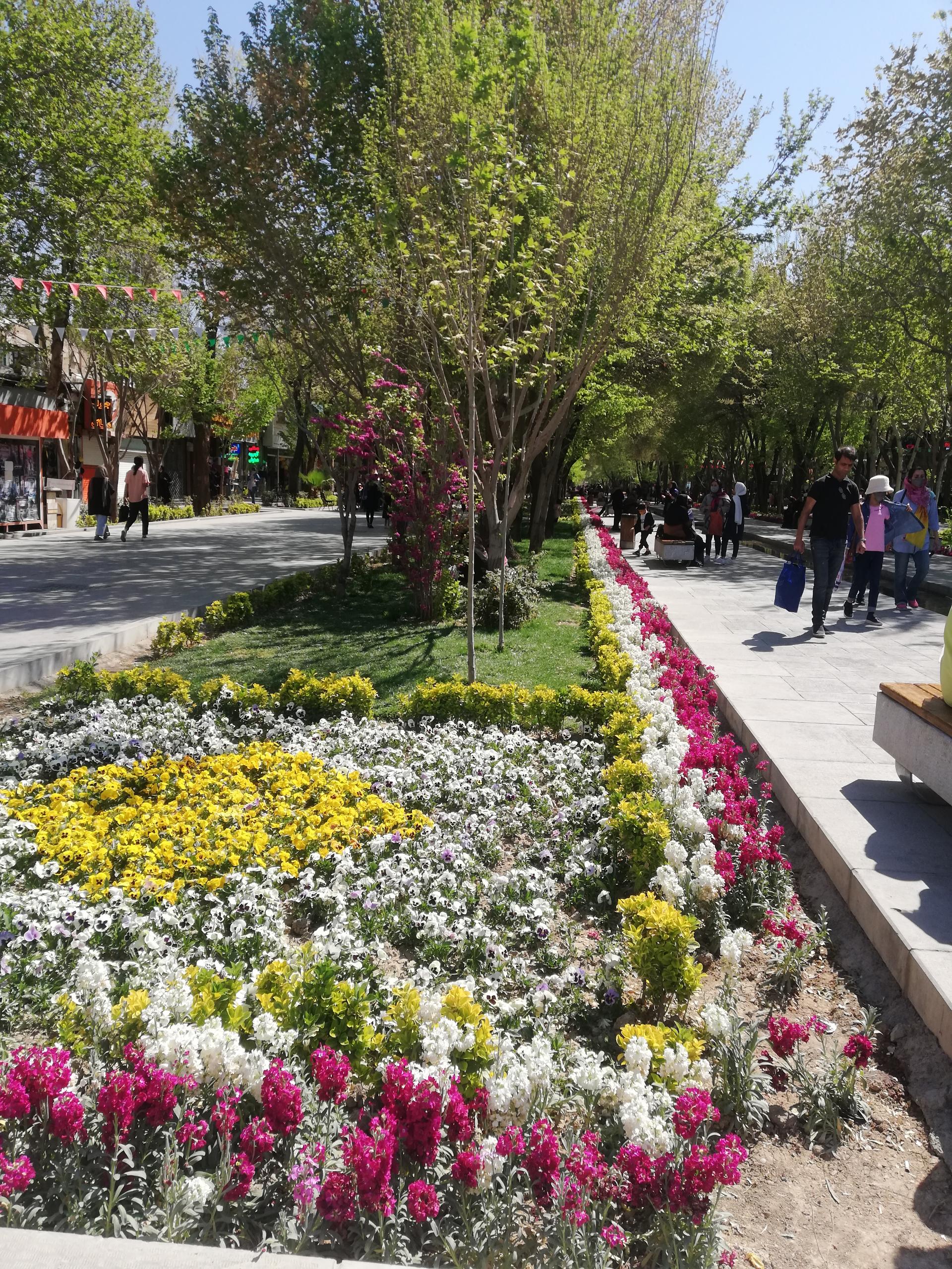 عکس چهارباغ عباسی