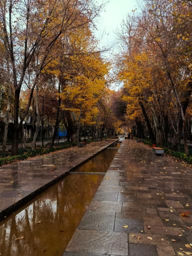 عکس چهارباغ عباسی