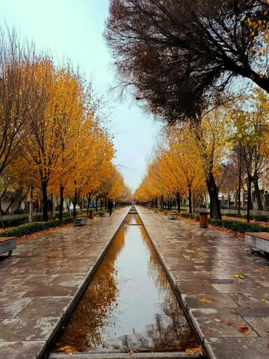 عکس چهارباغ عباسی