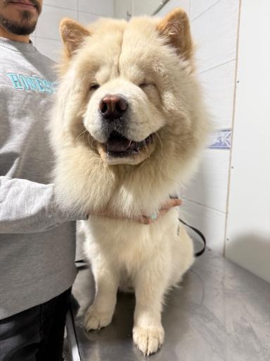 عکس دامپزشكى آوين