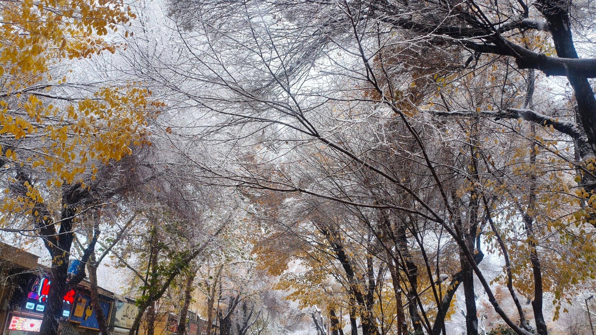 عکس چهارباغ عباسی