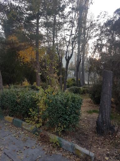 عکس پارک پردیس