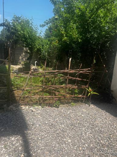 عکس ویلای اجاره ای ناصر خان