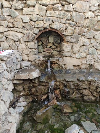 عکس چشمه بلوط