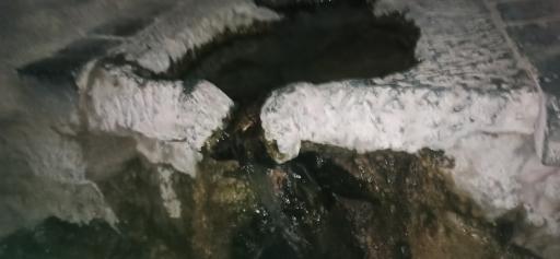 عکس چشمه بلوط