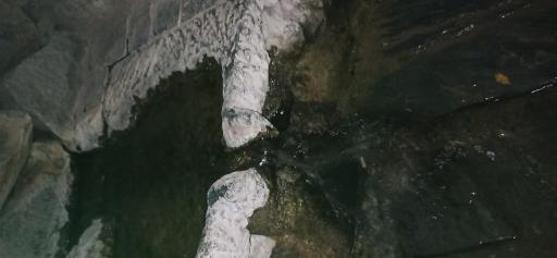 عکس چشمه بلوط