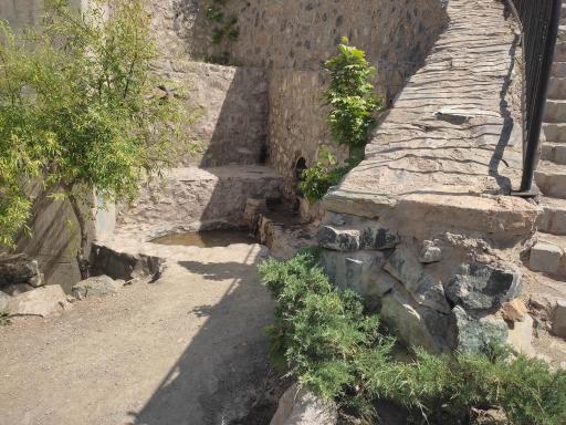 عکس چشمه بلوط