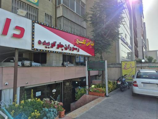 عکس طباخی کلپچ