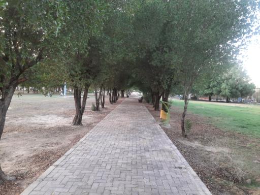 عکس بوستان کیانشهر