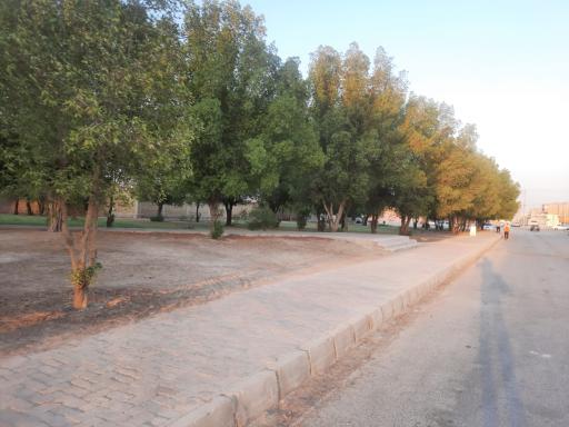 عکس بوستان کیانشهر