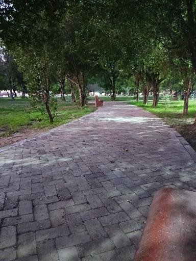 عکس بوستان کیانشهر