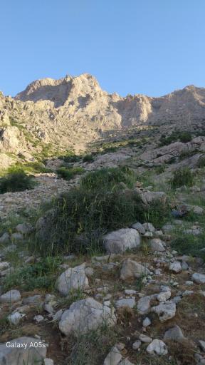 عکس کوه پَراو (قله شیخ علیخان)