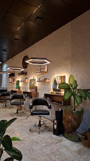 عکس پیرایش شاهین