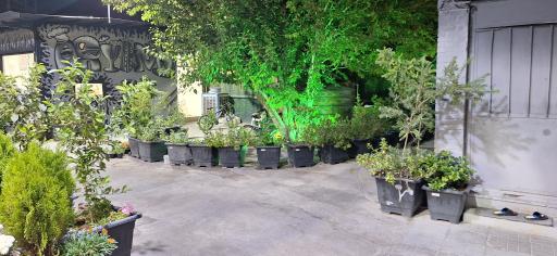 عکس کافه رستوران آریانا