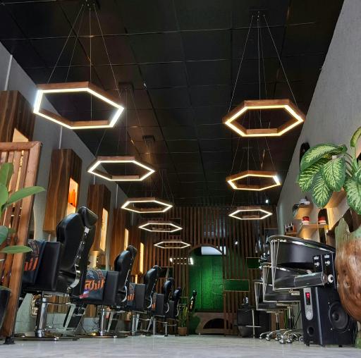 عکس پیرایش شاهین