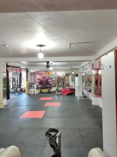 عکس باشگاه بدنسازی رویین تن