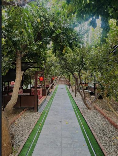 عکس باغچه رستوران ترمه