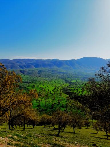 عکس خوزستان