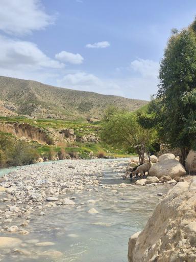 عکس خوزستان