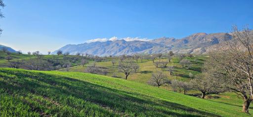 عکس خوزستان